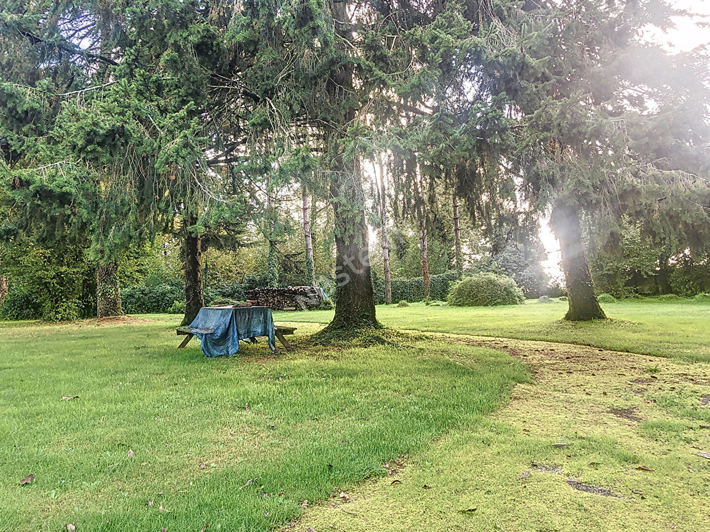 Vente maison familiale de 213m2 à Chateaubriant avec cinq chambres, sur un terrain arboré de plus de 2 hectares avec piscine