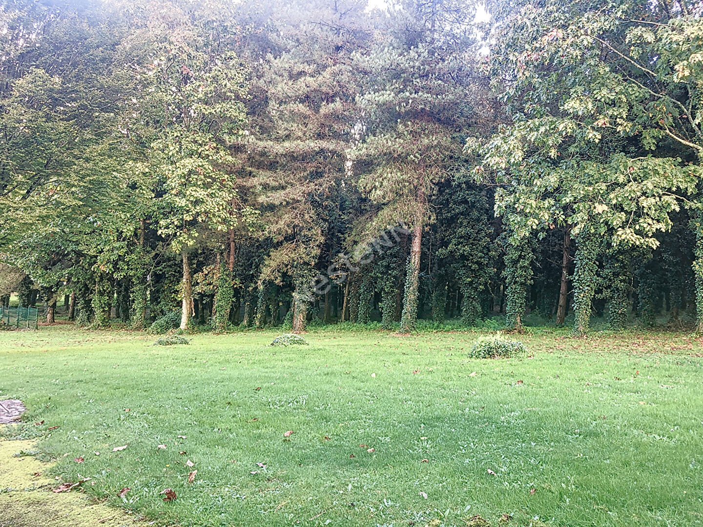 Vente maison familiale de 213m2 à Chateaubriant avec cinq chambres, sur un terrain arboré de plus de 2 hectares avec piscine