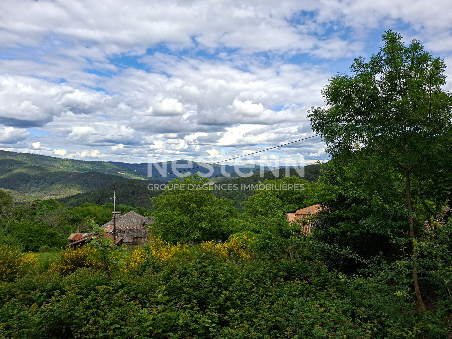 Terrain 1010 m² · à Le Collet de Deze · 1 010 m² · 27 000 €