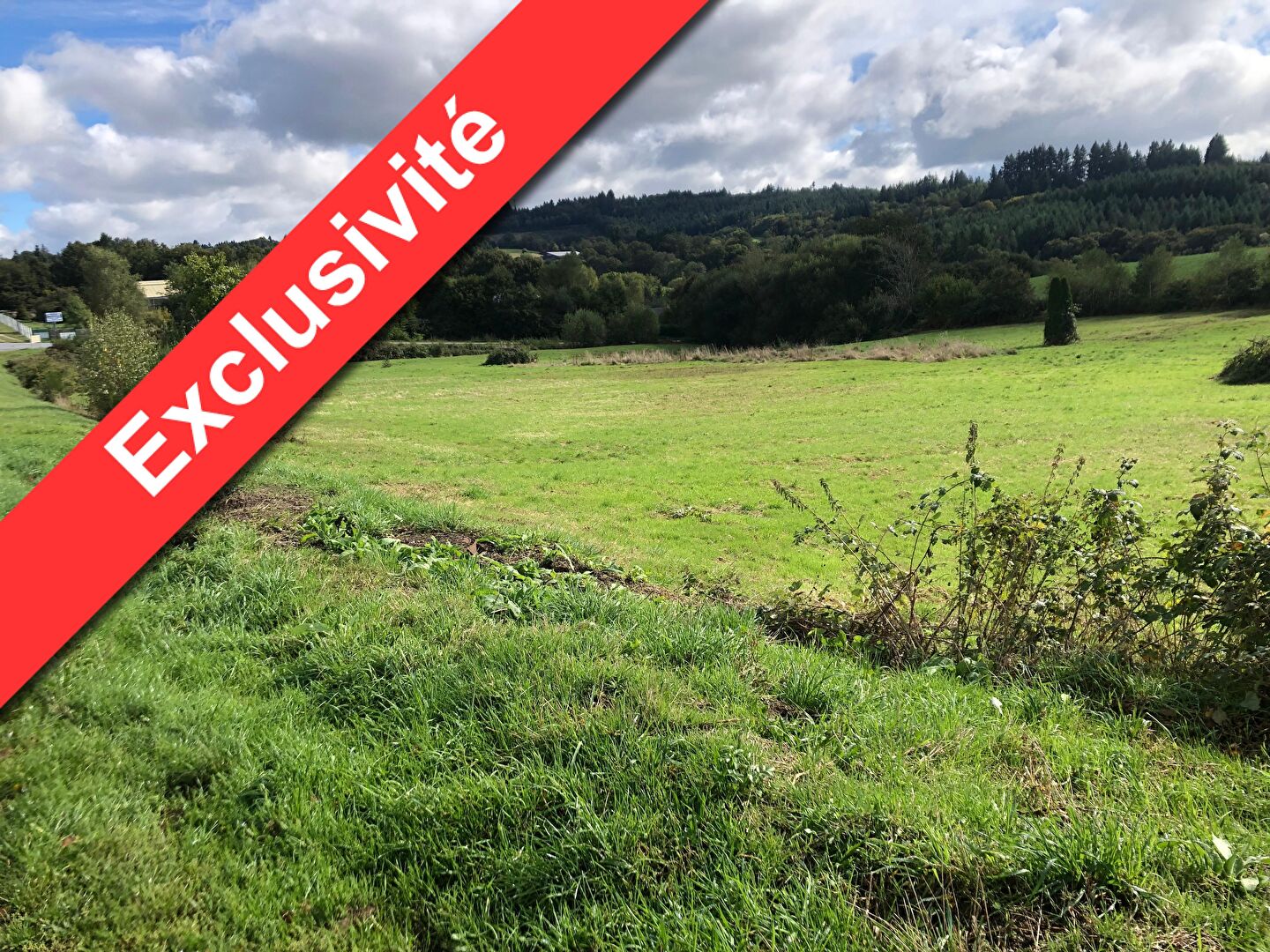 Terrain * 13819 M² * 19250 Meymac * 181 900 € · 181 900 €